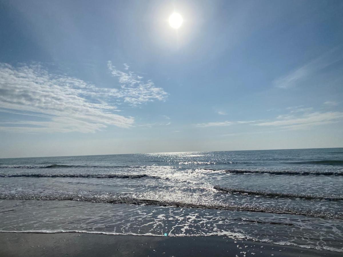 Residence El Palmar Fronte Mare, Fronte Spiaggia Τζεσόλο Λίντο Εξωτερικό φωτογραφία